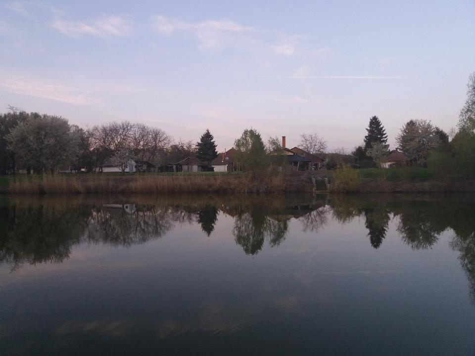 saját vízpart (Csókási zug holtága )