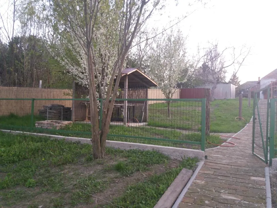 halpucoló a vízparton
