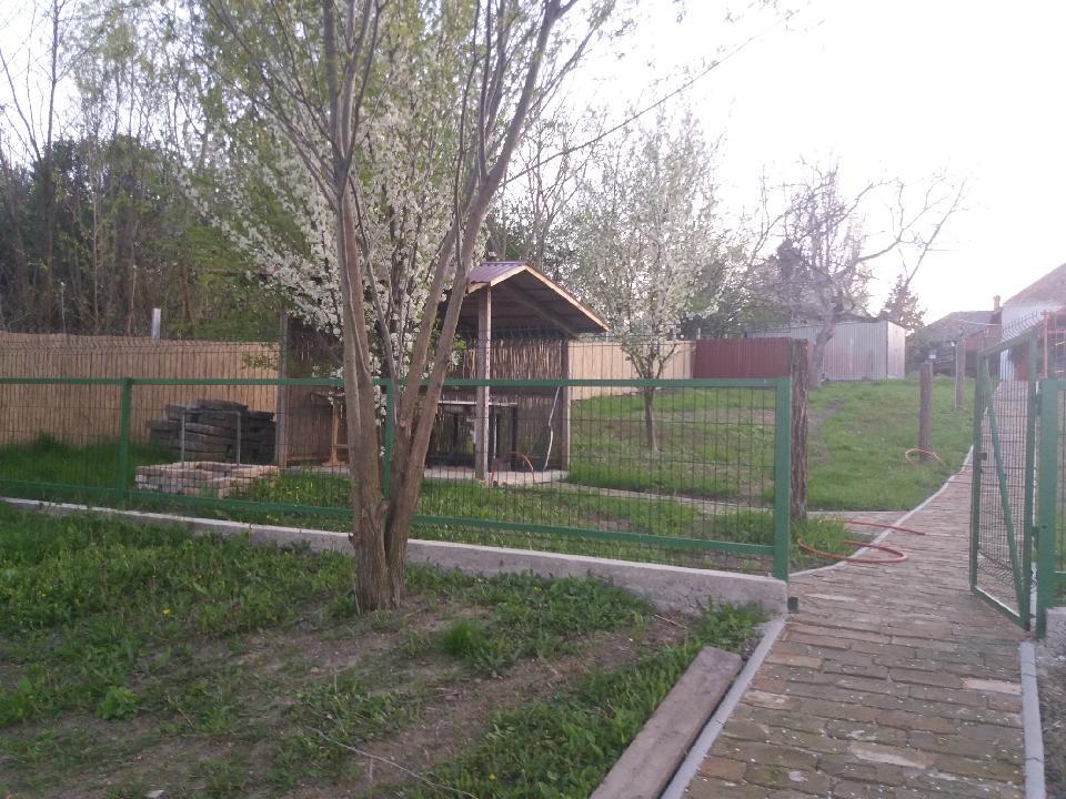 halpucoló a vízparton