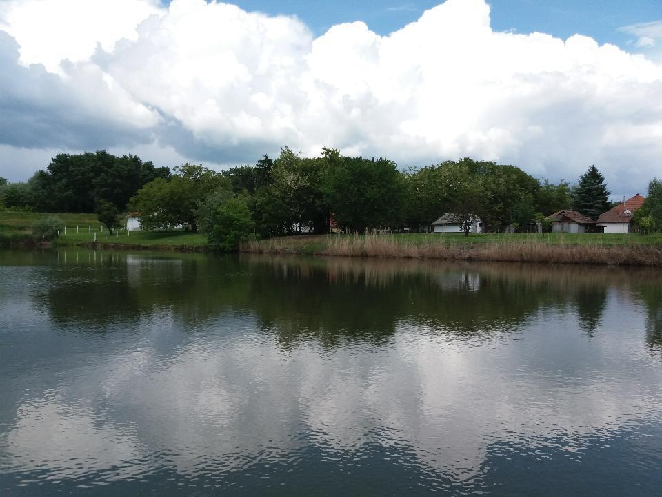 Saját vízpart, (Csókás zugi holtág)