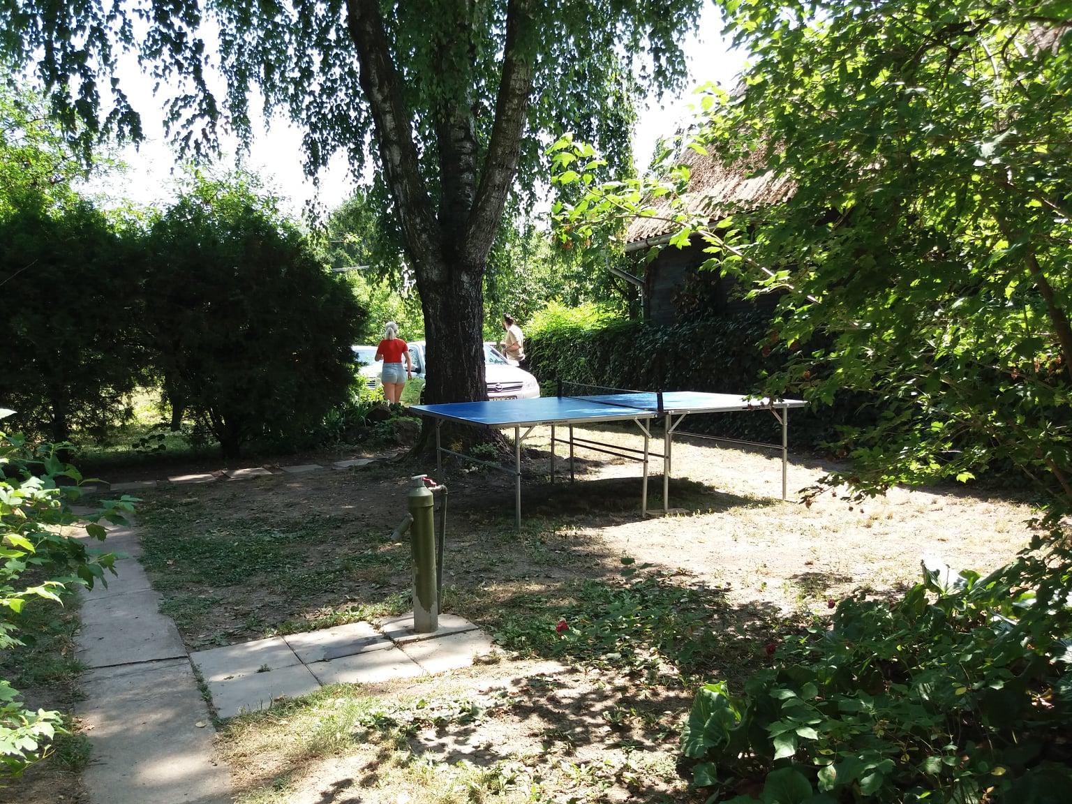 ping-pong asztal