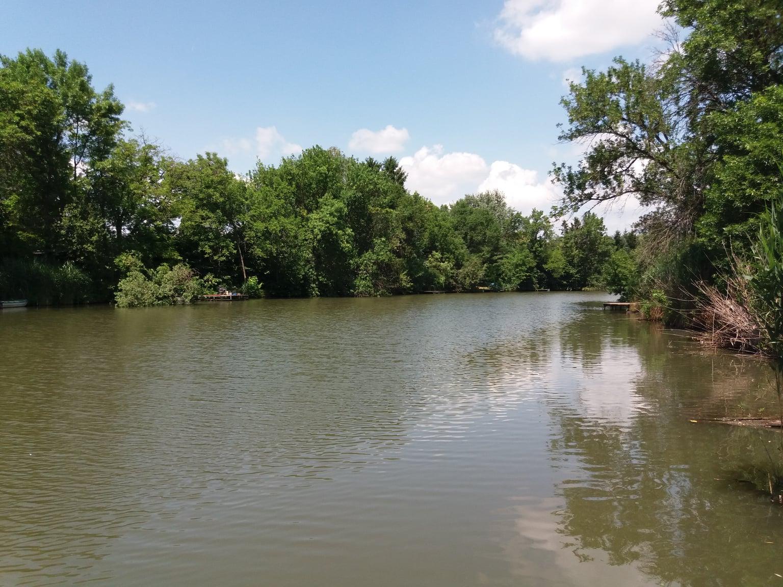 Sóczó zugi holtág