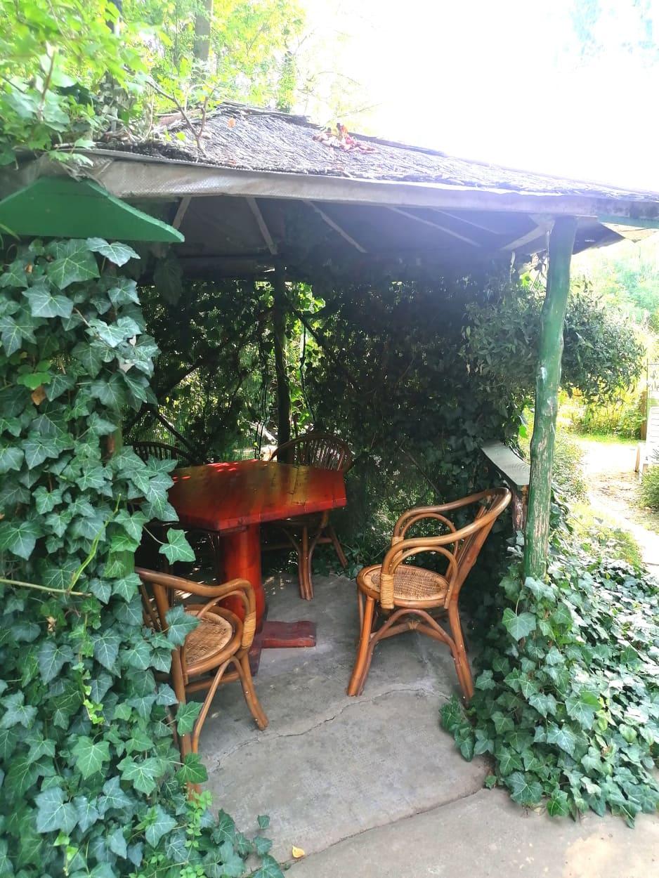 .a borostyános kiülő