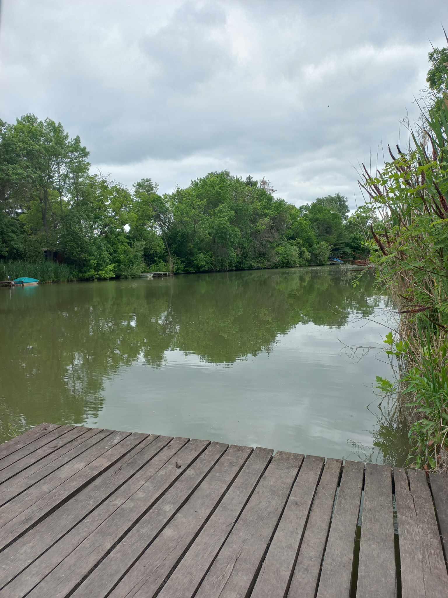 Sóczó zugi holtágunk