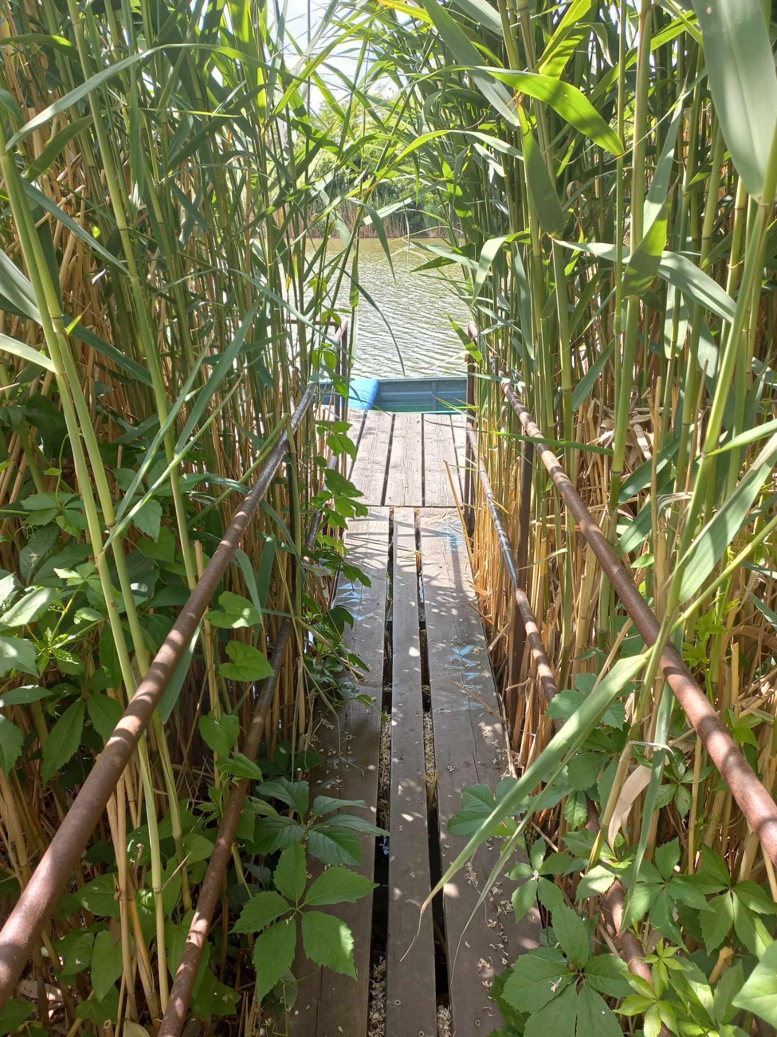 a stéghez vezető híd